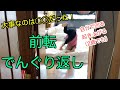 【でんぐり返し】2歳でも前転はできる！起き上がるには？【マットのコツ】【幼児】