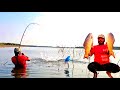 Big Rohu Fish Catching Techniques | plot Fishing | Big Rohu Fish Catching Video