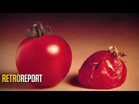 GMO Food Fears and the First Test Tube Tomato | Retro Report