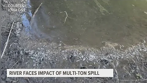 Fertilizer spill is 'catastrophic' for East Nishnabotna River, expert says
