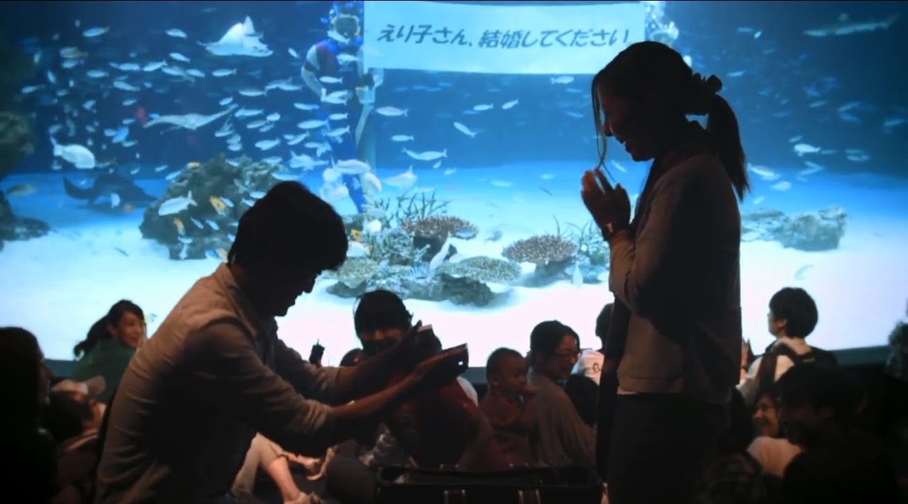 アイプリモ サンシャイン水族館 天空のオアシスプロポーズ プロポーズ応援レポート プリモ ジャパン株式会社のプレスリリース