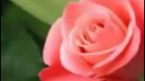 وقال ربكم ادعوني أستجب لكم بصوت الشيخ أحمد نعينع من سورة غافر