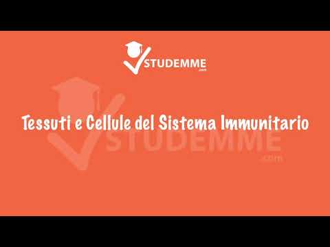 RIASSUNTO IMMUNOLOGIA IMMUNOPATOLOGIA UNIROMA1 MOLFETTA GALANDRINI MORRONE.