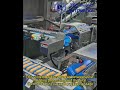 300 PPM High Speed Sausage Case Packing Line Delta Robot I Tec Sailing