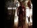 Inflicted Torture - MEATHOOK