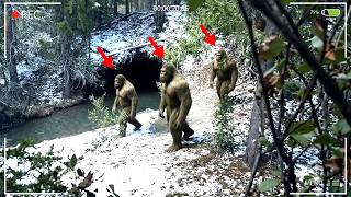 This Crystal Clear Bigfoot Footage JUST Surfaced