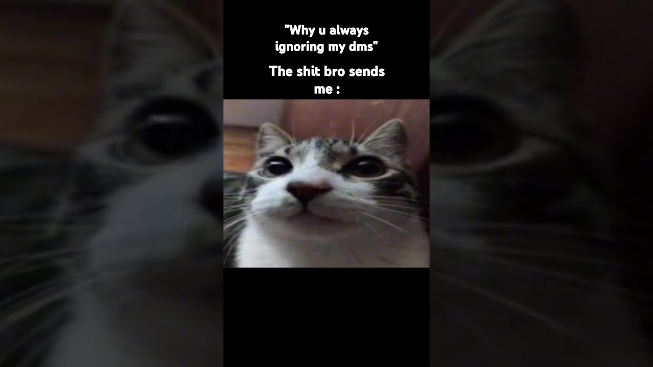 "i busted a good nut"☠️