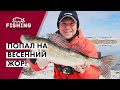 Попал на ВЕСЕННИЙ ЖОР! | Какие приманки весной самые эффективные? | ВихровLIFE