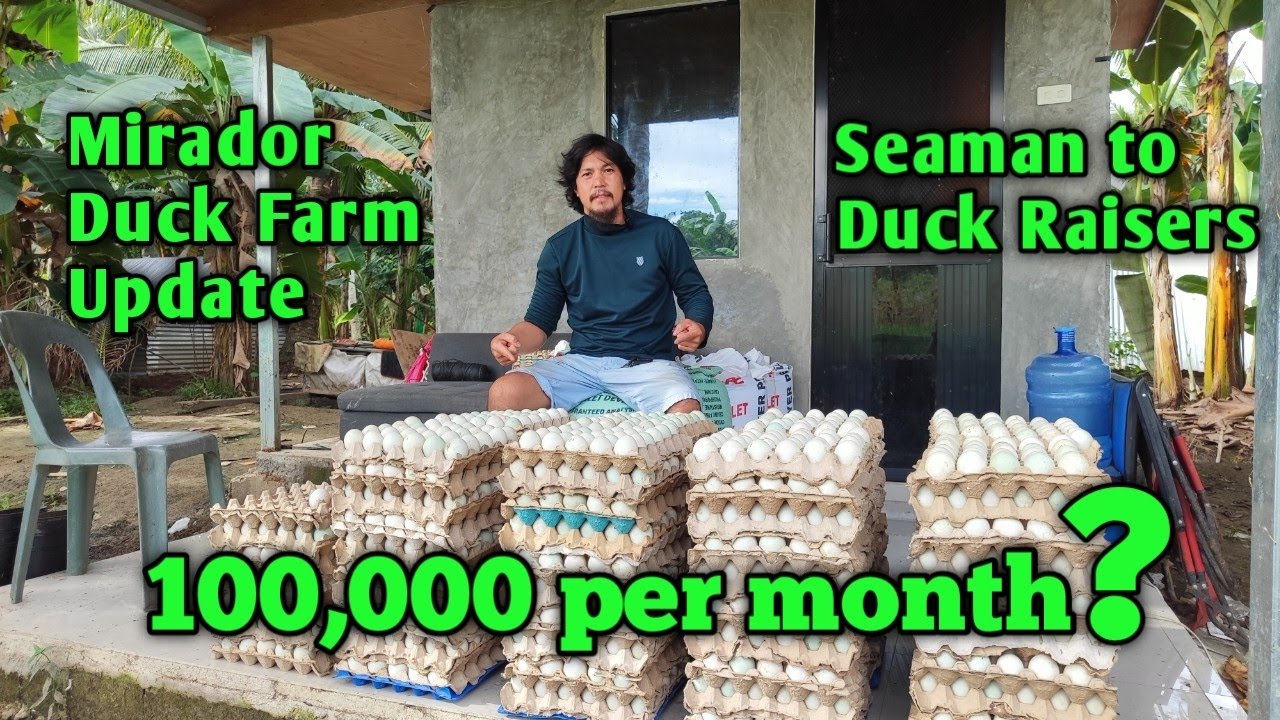 Dating Seaman Ngayon Isa ng Duck Raiser | Update sa Duck Farm ni Sir Stephen Mirador