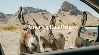 Photo Road trip around USA with a Sony and a Fuji