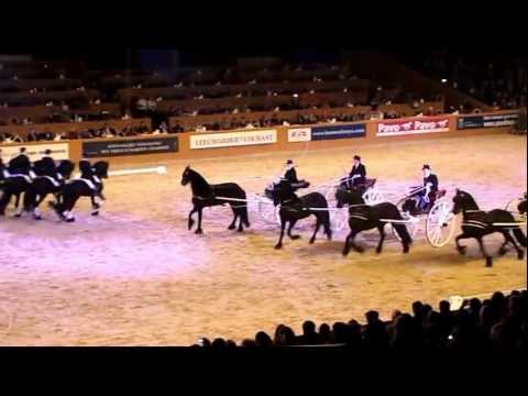 Quadrille reiten