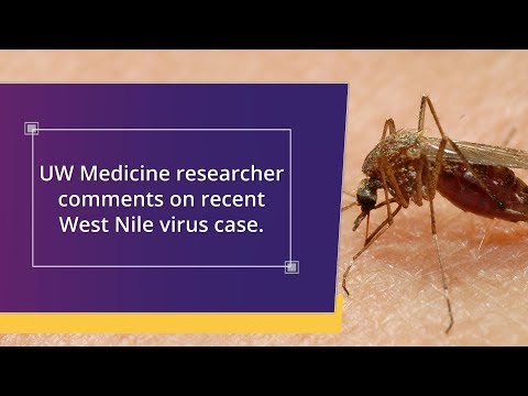 How West Nile virus is transmitted 