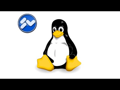 Video: So installieren Sie Steam auf einem Linux-Computer