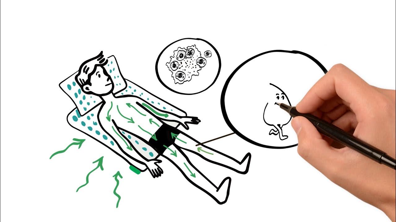 How does Pranamat ECO work? YouTube