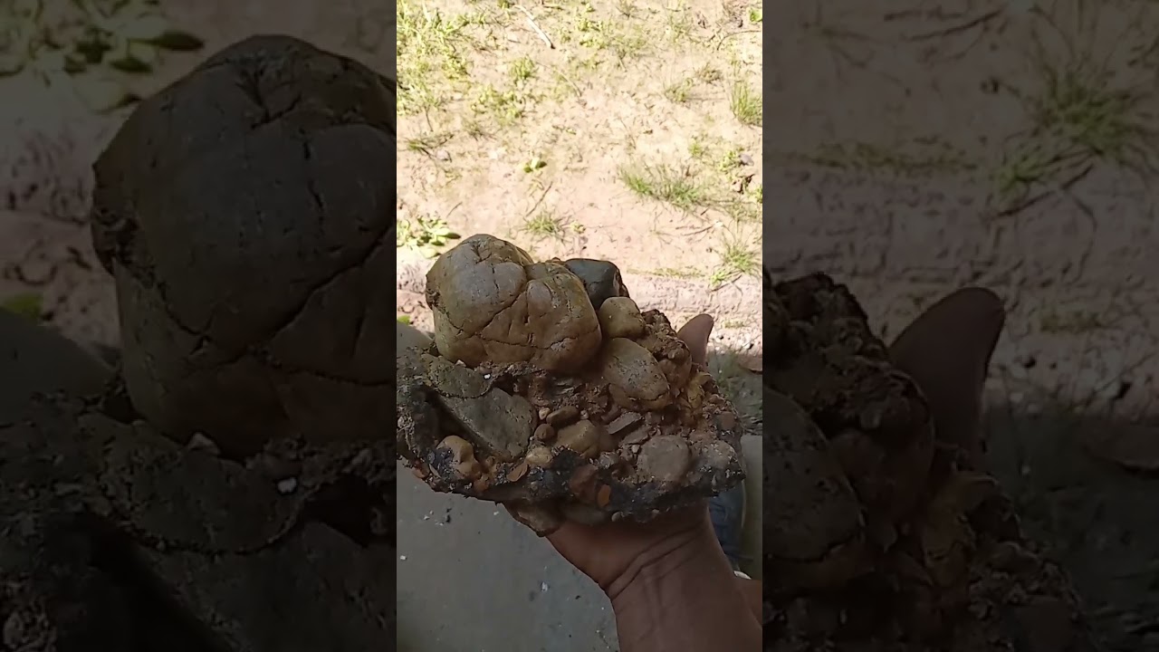 ancient alluvial complex with gemstones and gold