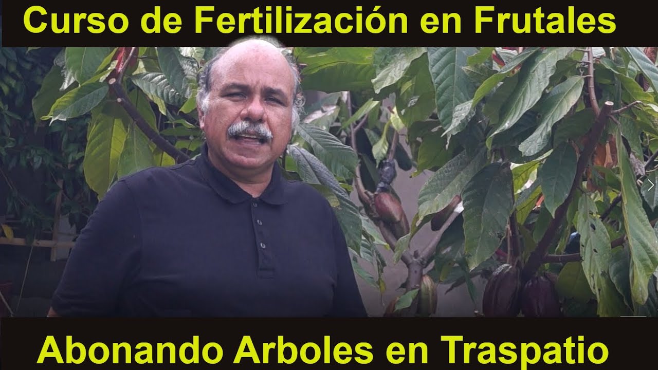 Como fertilizar y abonar frutales en HUERTOS CASEROS. Agricultura de  Traspatios y Jardines. - YouTube