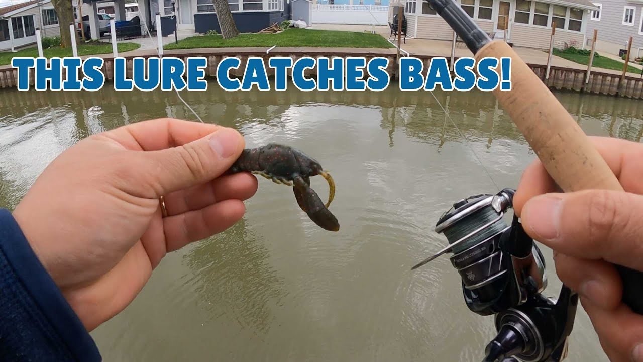 This lure just catches big bass!