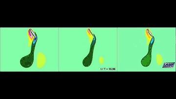 CFD - Insect Flight 2