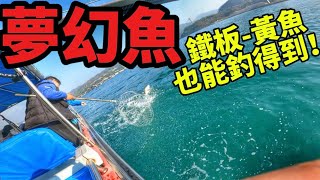 青馬夢幻大馬友🤩你釣到未？#香港釣魚 #高級魚 #高級食材 #海鮮 #jigging 