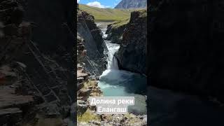 Чудеса Алтая Елангаш #shorts #travel #nature