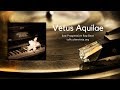 Vetus aquilae  sad emotional piano rap beat instrumental  delta light