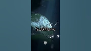 تلاوة الشيخ حسن صالح