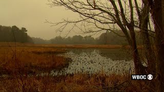 Travels With Charlie: More Fun With Fog