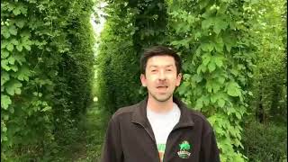 The Hogs Back Brewery T.E.A Academy
