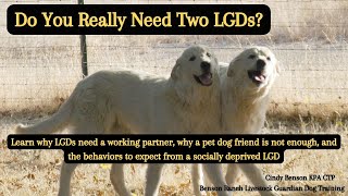 Do You Really Need Two LGDs Discussion