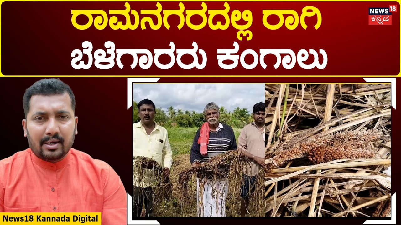 Cyclone Fengal Effect In Karnataka cyclone-fengal-effect-in-karnataka