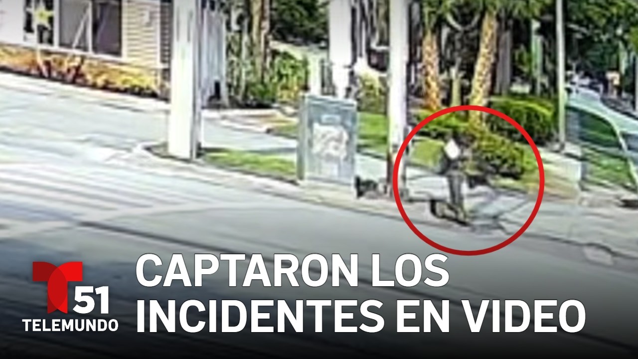 Arrestan a acusado de maltratar a su perro de servicio en Florida