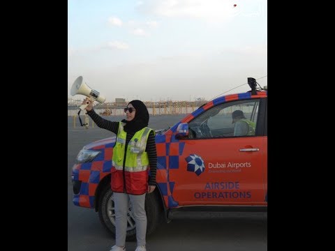 اكتشفوا كيف توف ق دبي بين سلامة الطيور والطائرات