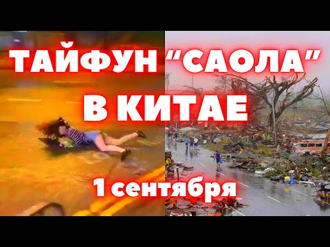 В Китае тайфун Саола разнёс Гонконг ветер сдувал людей