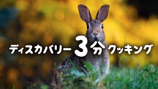 ディスカバリー3分クッキング | ロティサリー・ウサギ (ディスカバリーチャンネル)