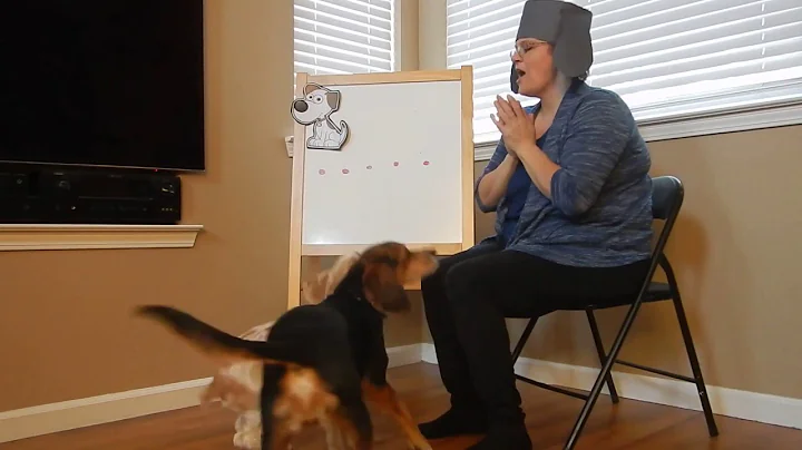 Terrie Cook Bingo Video
