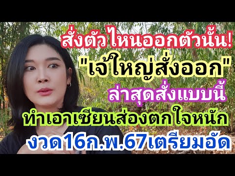 สั่งตัวไหนออกตัวนั้น!เจ้ใหญ่สั่งออกล่าสุดสั่งแบบนี้ ทำเอาเซียนส่องตกใจหนัก งวด16ก.พ.67เตรียมอัด