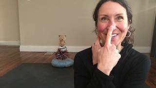 Celebrity Ear-Nose-Switcheroo (Movement) Net Worth