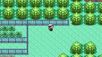 Pokemon Ruby SpeedRun Episode 13 Mt. Pyre Catastrophe!