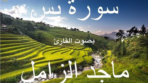سورة يس كاملة بصوت خاشع للقارئ ماجد الزامل Full Surah Yassin by Majed Al Zamil