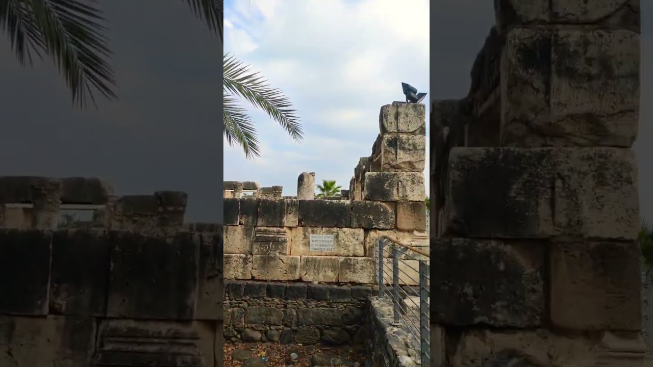 Израиль в феврале Израиль в феврале