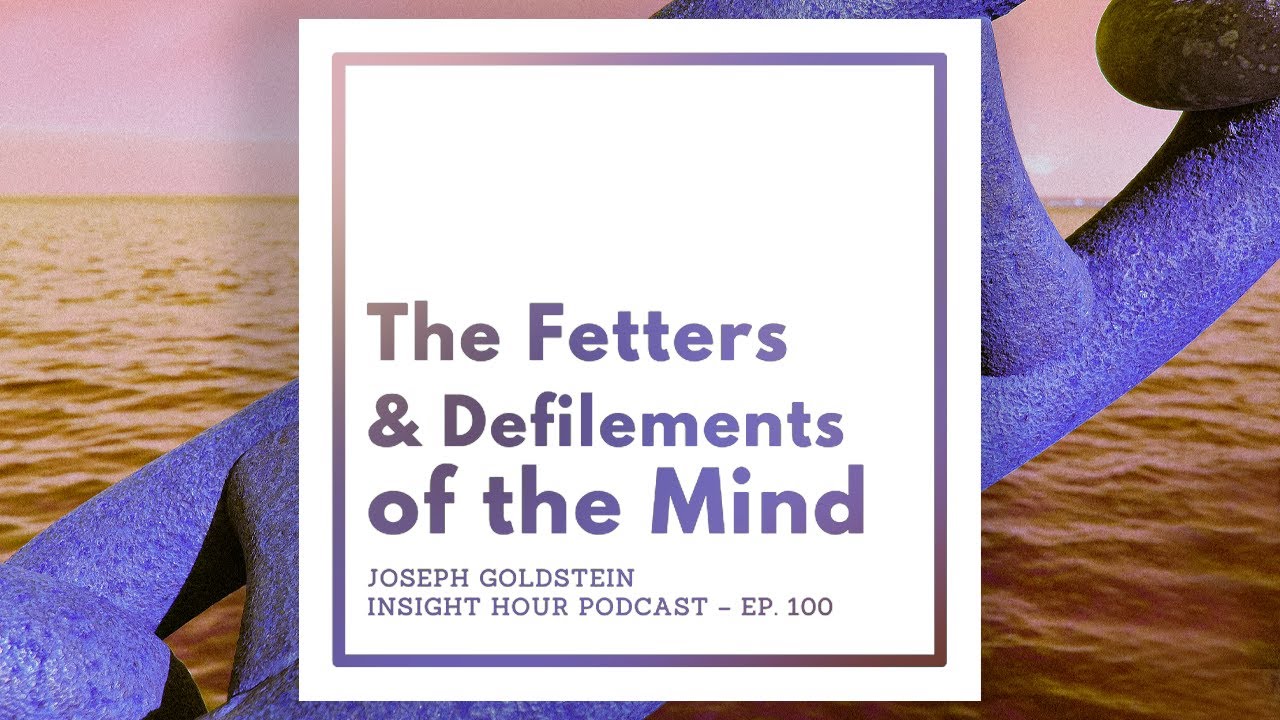Joseph Goldstein – Insight Hour – Ep. 100 – The Fetters and Defilements ...