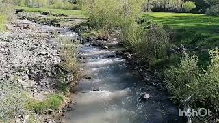 Aşık Mustafa Aydın Düşman Deyilim