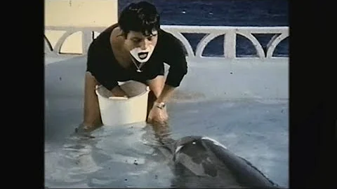 Teaching a dolphin to speak English - The Girl Who...