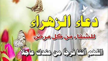 دعاء فاطمة الزهراء عليها السلام للشفاء من كل مرض سريع الإجابة بصوت القارئ مصطفى الحساني