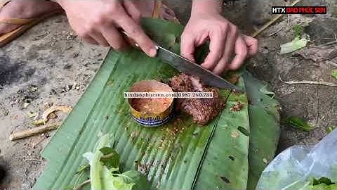 Trải Nghiệm THỰC TẾ M15NC và R04N Của Khách Hàng Về Sản Phẩm Của HTX Dao Phúc Sen