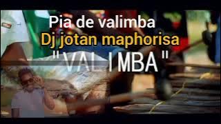 dj jotan maphorisa moatize musica de valimba oficial 2023