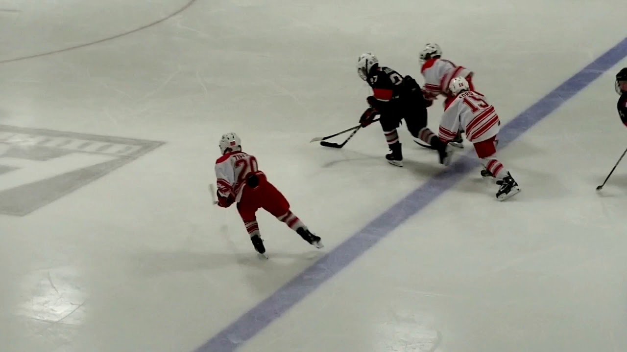 Traverse City North Stars 11U A Defensive Gems 2019