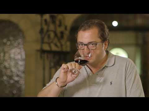 The Wines of Rioja & Ribera del Duero