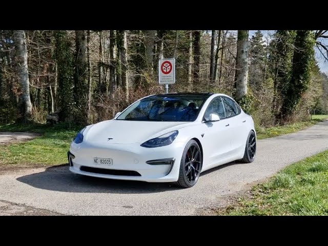 Tesla Model 3 with 20in TSW Watkins Wheels and Michelin Pi…