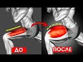 Делай Эти Упражнения 5 МИНУТ В ДЕНЬ, Чтобы Накачать Мощный Квадрицепс (Тренировка Ног)